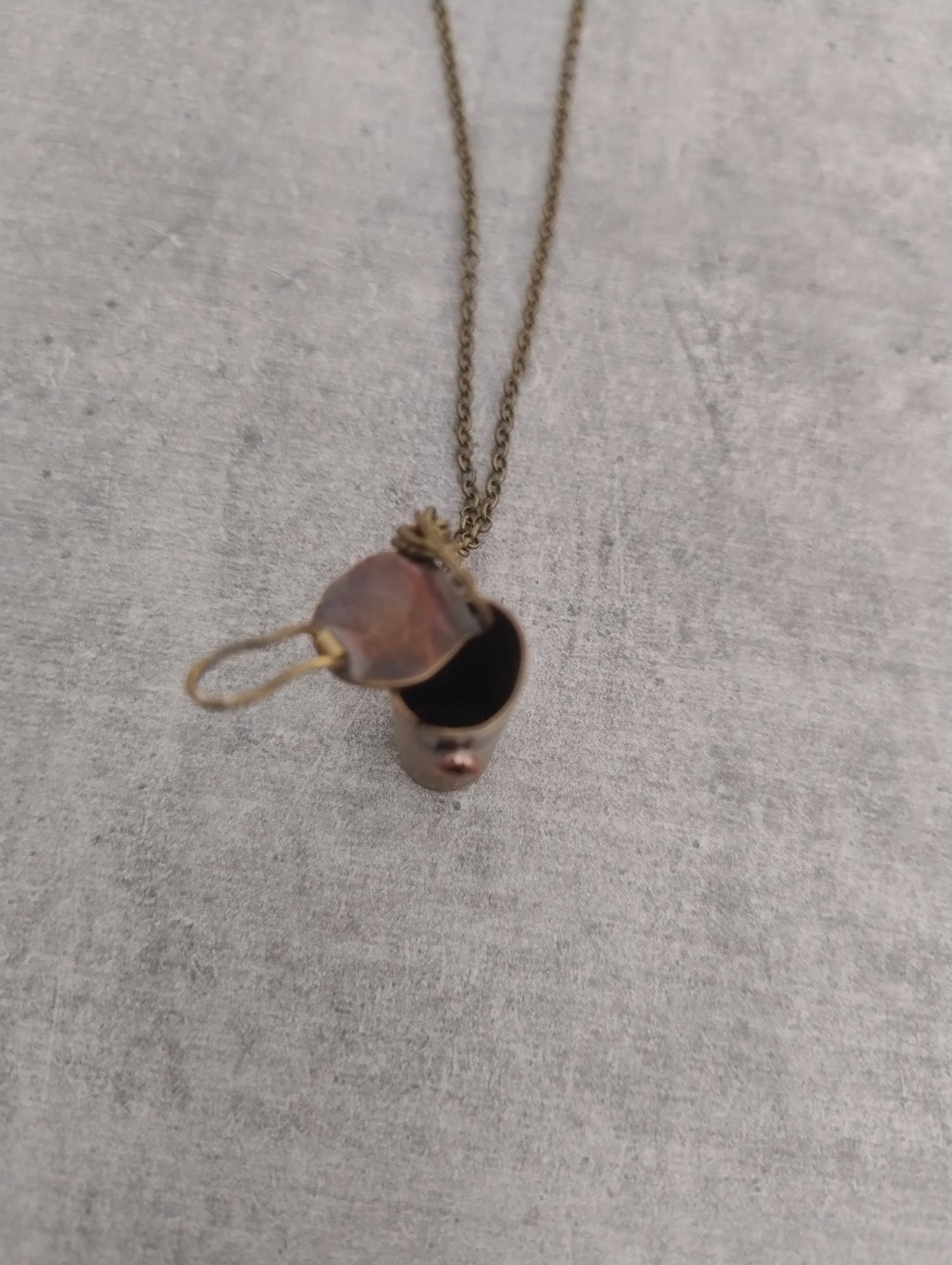 Dessus du pendentif ouvert